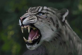 Photo Big cats Leopards Snow leopards Roar Teeth Animals 1920x1301