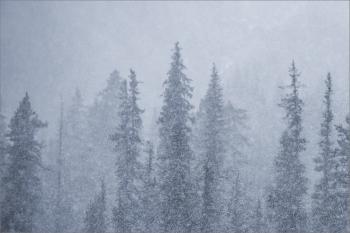 Snowstorm silhouettes | Christopher Martin Photography