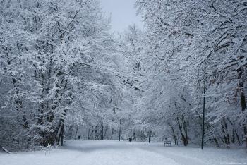 Snowy Park