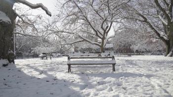 Coverr | "Snowy Bench" - Beautiful, free video footage