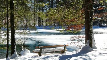 Snowy Bench In The Park - WallDevil