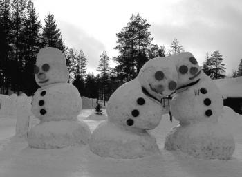 Things to do on a snowy day - The Tartan