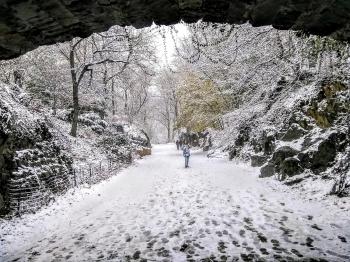 A beautiful snowy day in Central Park... : nyc