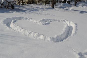 Snowy Day Adventures: Snow Track Pictures - Bring The Kids