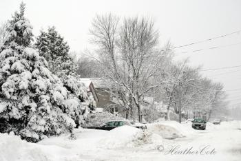 snowy day… | Heather Cote...
