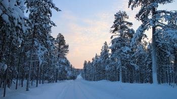 Snowy landscape in Finland image - Free stock photo - Public Domain ...