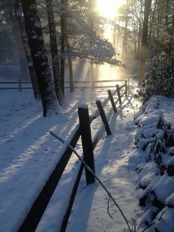 A snowy morning at the barn – EQUINE Ink