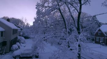 Rising In Front of Tree Looking At Sunset Over Snowy Neighborhood ...