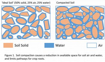 Wet Weather + Field Traffic = More Soil Compaction, Reduced Nutrient ...