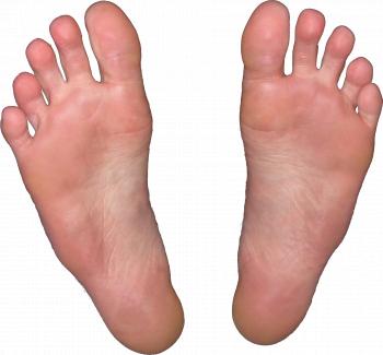 Soles of Feet transparent PNG