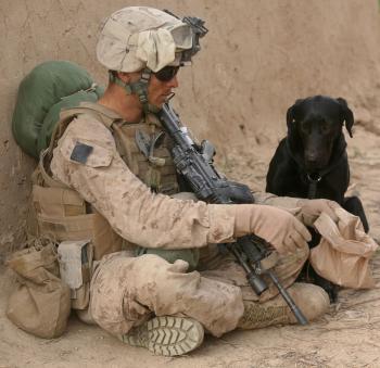 Solider with Dog
