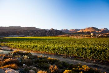 Cederberg Wines – South Africa's Highest Altitude Wines