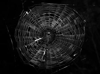 Tomás Saraceno: How to catch the universe in a spider's web - paad