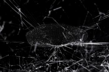 Hybrid Webs - Projects - Tomás Saraceno