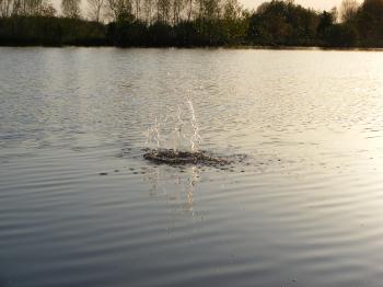 Splash in a pond