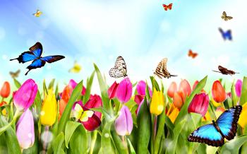 Spring is coming.... - Wellbeing Therapies