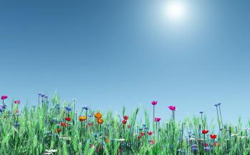 Spring Flower Wallpaper Backgrounds - Wallpaper Cave