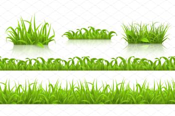 Spring grass seamless pattern,vector ~ Illustrations ~ Creative Market