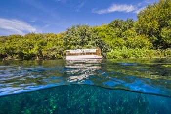Explore Spring Lake : The Meadows Center for Water and the ...