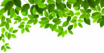 Spring Leaves Decoration PNG Clip Art Image | Gallery Yopriceville ...