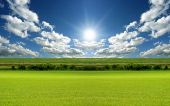 Spring Season Wallpaper 2560x1600