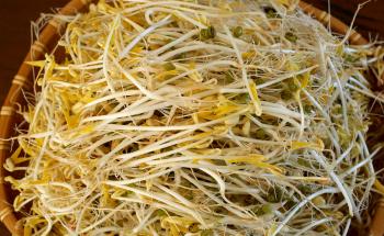 Mung bean sprouts recipe - Maangchi.com
