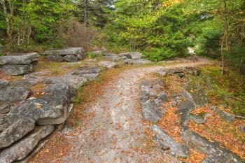 Spruce Knob Autumn Rock Trail - HDR