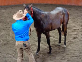 Cheveley Park Stud | Sunline Scholarship