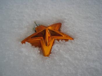 Star on the snow