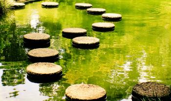 How A Stepping-stone Role Can Help You Make Your Career Change ...