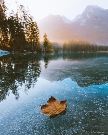 A lone leaf floating on a perfectly still lake in Germany by ...