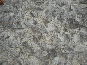 stone-surface | tom clausen