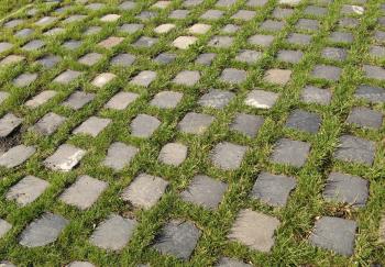 Free Stone texture (cobble, grass, joint)