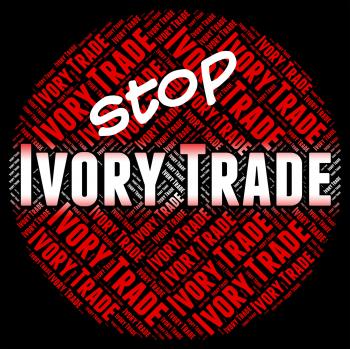 Stop Ivory Trade Indicates Elephant Teeth And Biz