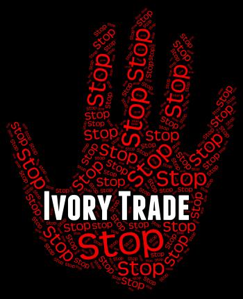 Stop Ivory Trade Represents Elephant Tusk And Business