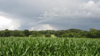 STORMY SKY over Mow cop from canal Church Lawton 29-7-2013