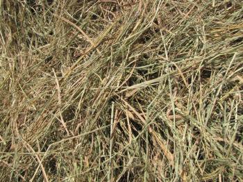Straws | Feedipedia