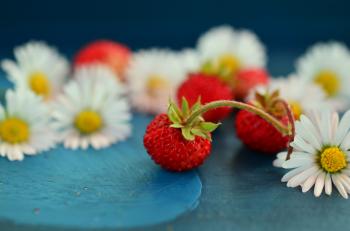 Strawberry and Flowers
