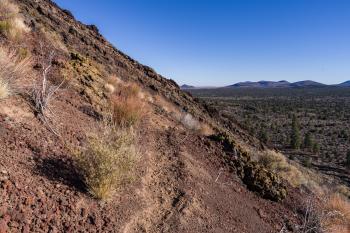 Strawberry Crater Trail