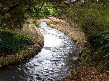 Node.js Streams: Everything you need to know – freeCodeCamp