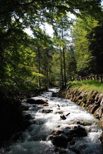 Stream - Wikipedia