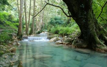 Stream Full HD Wallpaper and Background Image | 2560x1600 | ID:389616
