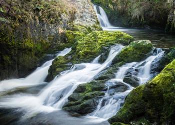 Free picture: nature, water, landscape, river, stream, waterfall ...