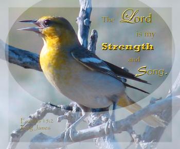Strength and Song