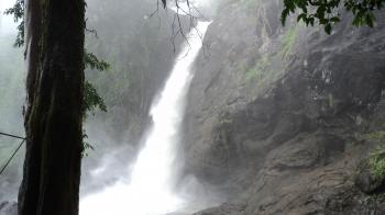 Succhipara falls