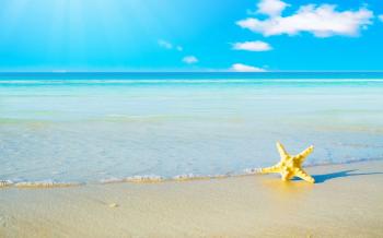 summer background - Ideal.vistalist.co