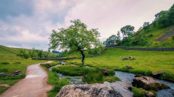 Free picture: sky, summer, landscape, grass, tree, nature, water ...