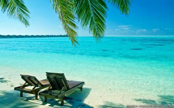 Summer Scenes wallpapers - Crazy Frankenstein