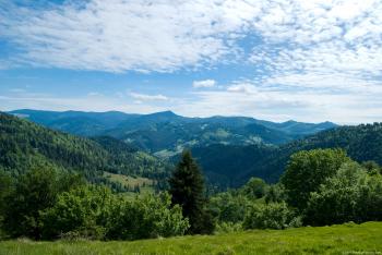 Summer View