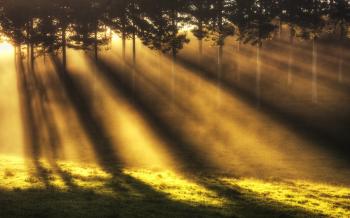 Sunbeam Wallpapers 6 - 1920 X 1200 | stmed.net